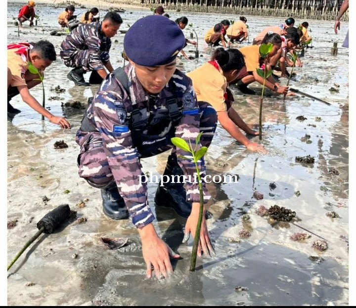Lanal Aru Ajak Siswa SMA Yos Sudarso Tanam Mangrove 