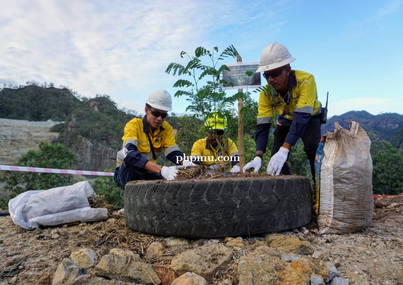 Peringati Hari Lingkungan Hidup Sedunia, Pimpinan dan Karyawan BKP-BTR Gelar Aksi Tanam Pohon